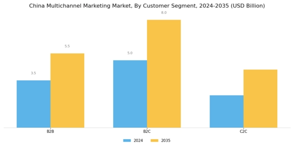 China Multichannel Marketing Market Segment Image 1