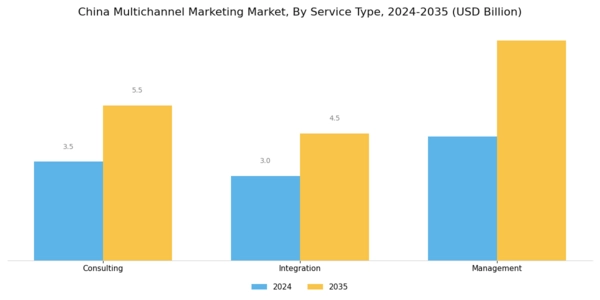 China Multichannel Marketing Market Segment Image 3