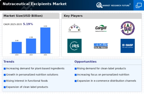 Nutraceutical Excipients Market Infographic