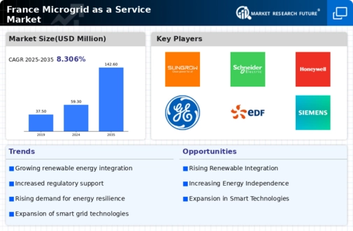 France Microgrid As A Service Market Infographic