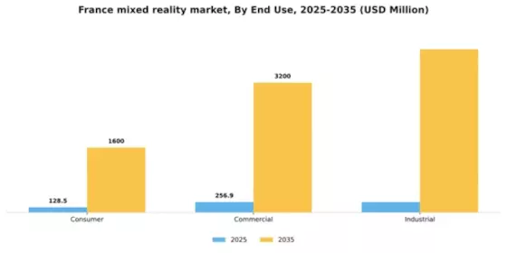 France Mixed Reality Market Segment Image 2