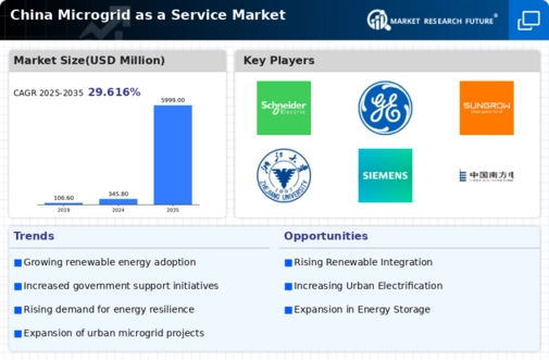 China Microgrid as a Service Market Infographic