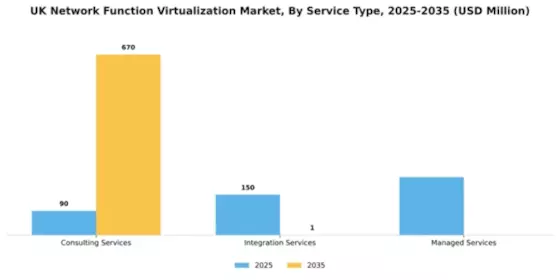 UK Network Function Virtualization Market Segment Image 3