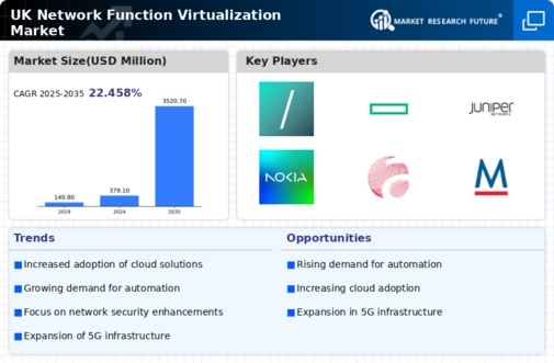 UK Network Function Virtualization Market Infographic