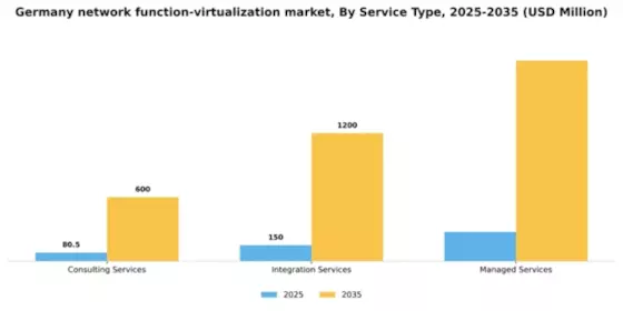 Germany Network Function Virtualization Market Segment Image 3