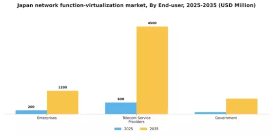 Japan Network Function Virtualization Market Segment Image 2
