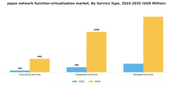 Japan Network Function Virtualization Market Segment Image 3