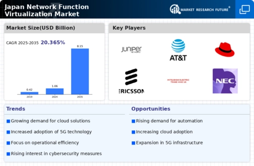 Japan Network Function Virtualization Market Infographic