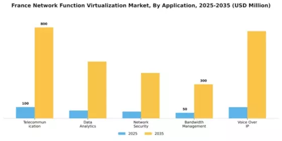 France Network Function Virtualization Market Segment Image 0
