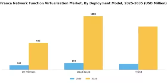 France Network Function Virtualization Market Segment Image 1