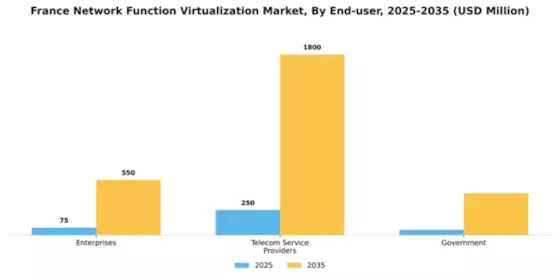 France Network Function Virtualization Market Segment Image 2