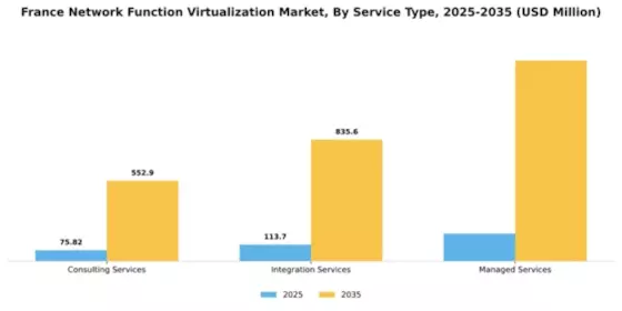 France Network Function Virtualization Market Segment Image 3