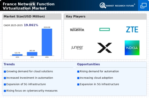 France Network Function Virtualization Market Infographic