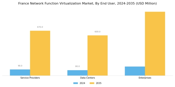 France Network Function Virtualization Market Segment Image 3