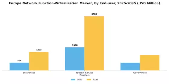 Europe Network Function Virtualization Market Segment Image 2