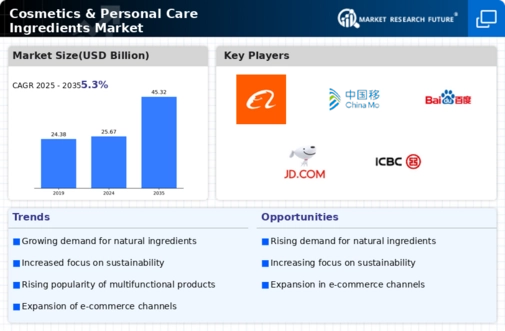 China Cosmetics Personal Care Ingredients Market Infographic
