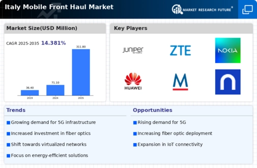 Italy Mobile Front Haul Market Infographic