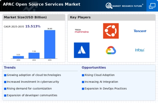 APAC Open Source Services Market Infographic