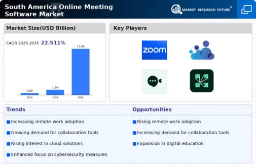 South America Online Meeting Software Market Infographic