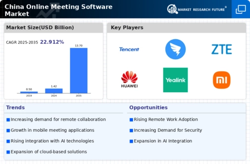 China Online Meeting Software Market Infographic