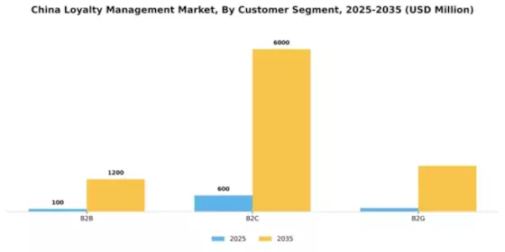 China Loyalty Management Market Segment Image 0