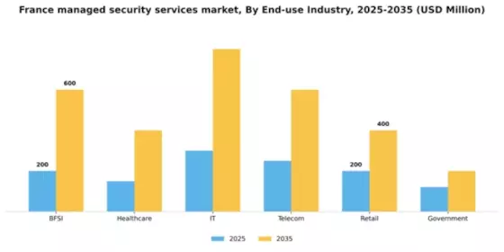 France Managed Security Services Market Segment Image 1