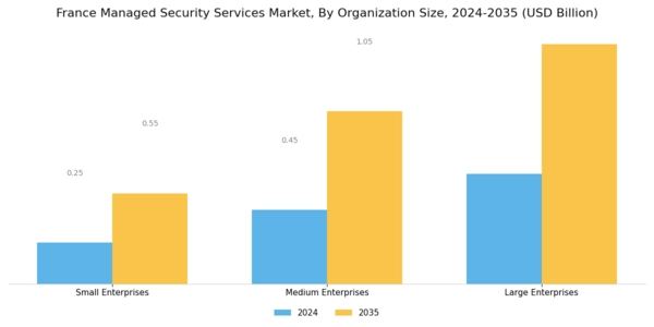 France Managed Security Services Market Segment Image 2