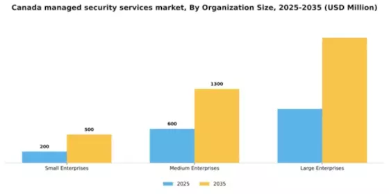 Canada Managed Security Services Market Segment Image 2