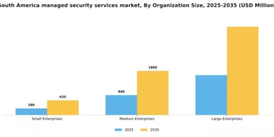 South America Managed Security Services Market Segment Image 2