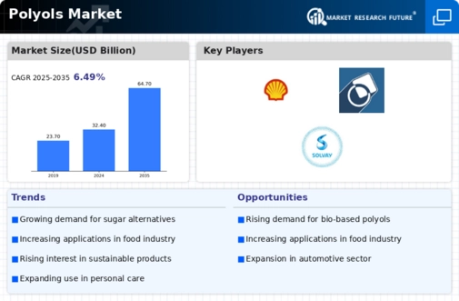 Polyols Market Infographic