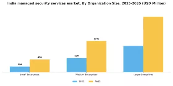 India Managed Security Services Market Segment Image 2