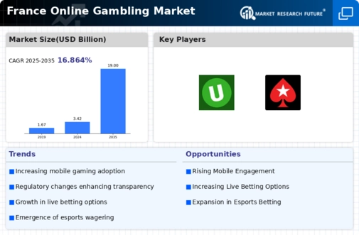 France Online gambling Market Infographic
