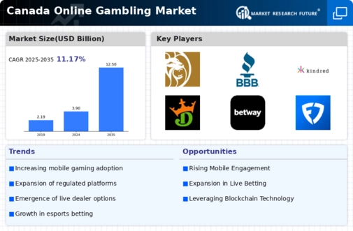 Canada Online gambling Market Infographic
