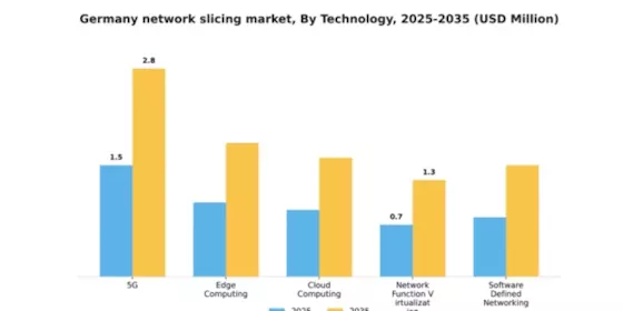 Germany Network Slicing Market Segment Image 2