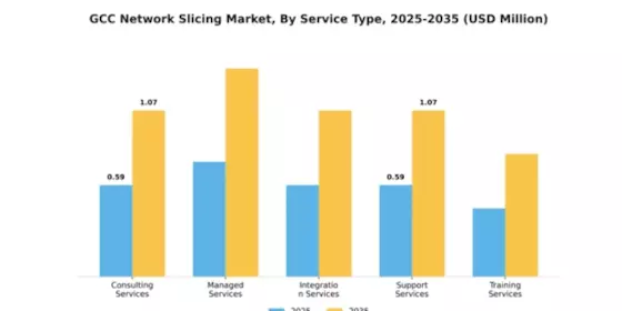 GCC Network Slicing Market Segment Image 2