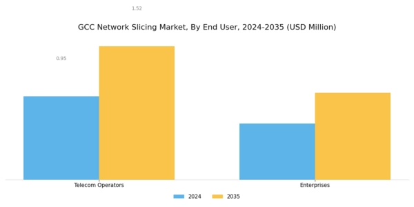 GCC Network Slicing Market Segment Image 1