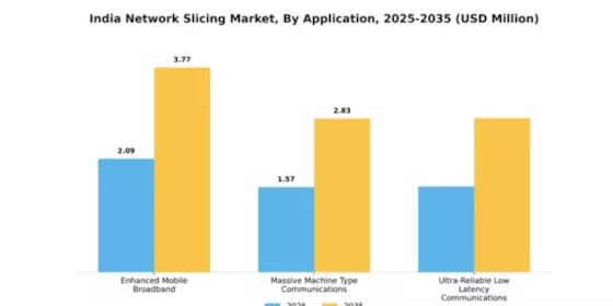 India Network Slicing Market Segment Image 0