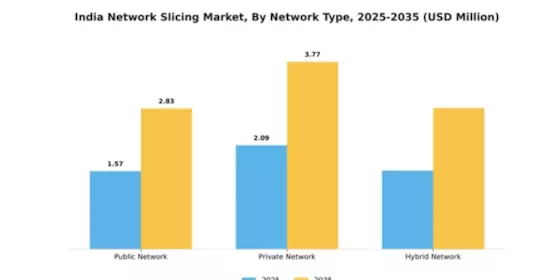 India Network Slicing Market Segment Image 3