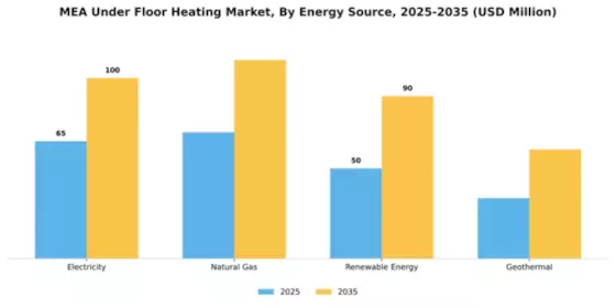EMEA Beauty Devices Market Segment Image 2