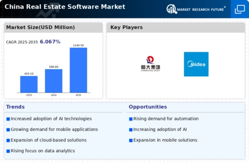 China Real Estate Software Market Infographic