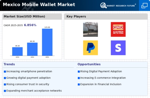 Mexico Mobile Wallet Market Infographic