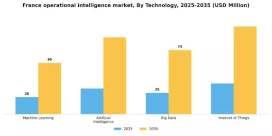 France Operational Intelligence Market Segment Image 4
