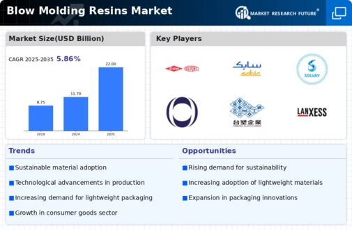 Blow Molding Resins Market Infographic