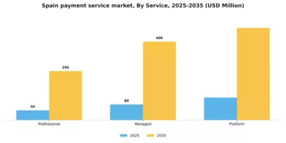 Spain Payment Service Market Segment Image 0
