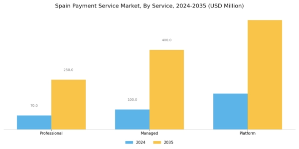 Spain Payment Service Market Segment Image 0