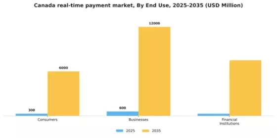 Canada Real Time Payment Market Segment Image 1