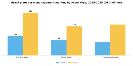 Brazil Plant Asset Management Market Segment Image 1