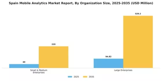 Spain Mobile Analytics Market Segment Image 0