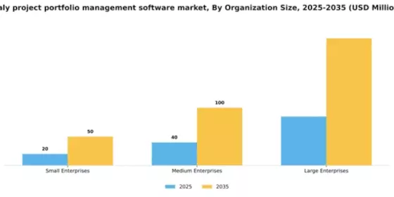 Italy Project Portfolio Management Software Market Segment Image 3