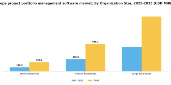 Europe Project Portfolio Management Software Market Segment Image 3